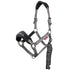 LeMieux Vogue Halter and Leadrope Set